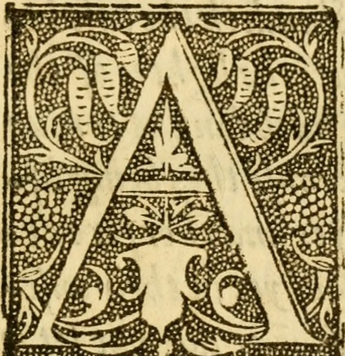 An illustration from The Pageant of popes, contayninge the lyues of all the bishops of Rome, from the beginninge of them to the yeare of grace 1555, deuided into iii. sortes bishops, archbishops, and popes ..., 1574, leaf 8