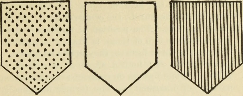An illustration from The painters' encyclopædia. Containing definitions of all important words in the art of plain and artistic painting, with details of practice in coach, carriage, railway car, house, sign and ornamental painting, including graining, marbling ... and valuable hints and helps in scene painting, porcelain painting, plain painting, distemper painting, and all work in which a brush, pencil or palette is used, 1887, leaf 174