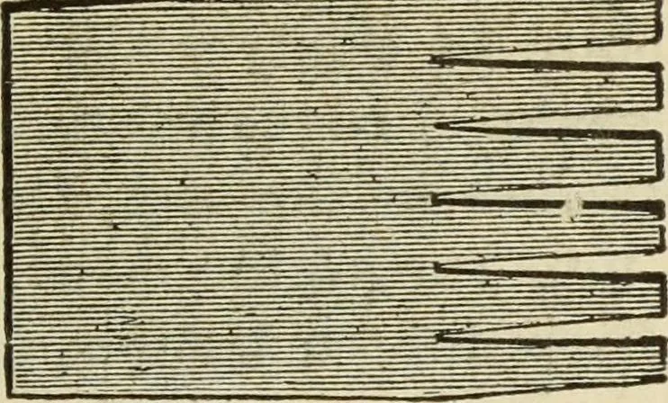 An illustration from The painters' encyclopædia. Containing definitions of all important words in the art of plain and artistic painting, with details of practice in coach, carriage, railway car, house, sign and ornamental painting, including graining, marbling ... and valuable hints and helps in scene painting, porcelain painting, plain painting, distemper painting, and all work in which a brush, pencil or palette is used, 1887, leaf 238