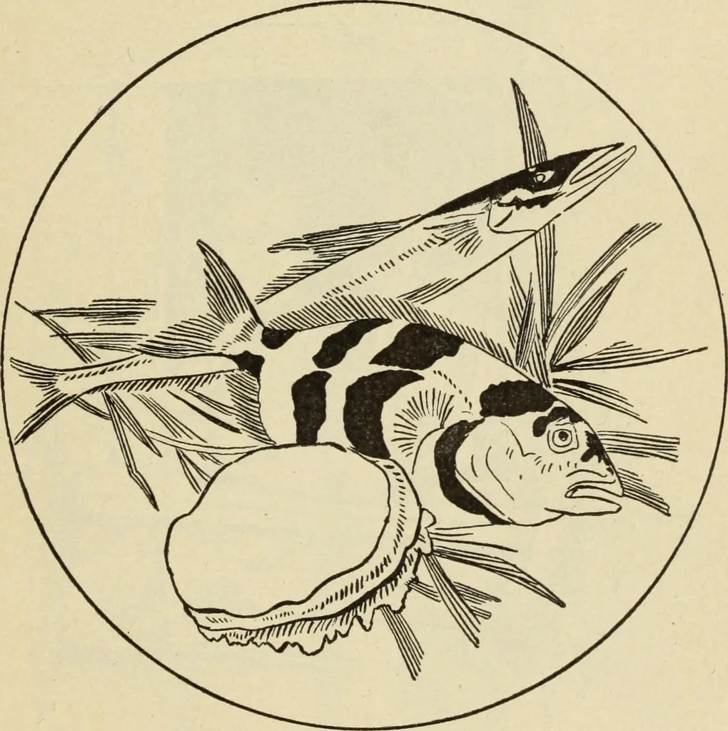 An illustration from The painters' encyclopædia. Containing definitions of all important words in the art of plain and artistic painting, with details of practice in coach, carriage, railway car, house, sign and ornamental painting, including graining, marbling ... and valuable hints and helps in scene painting, porcelain painting, plain painting, distemper painting, and all work in which a brush, pencil or palette is used, 1887, leaf 246