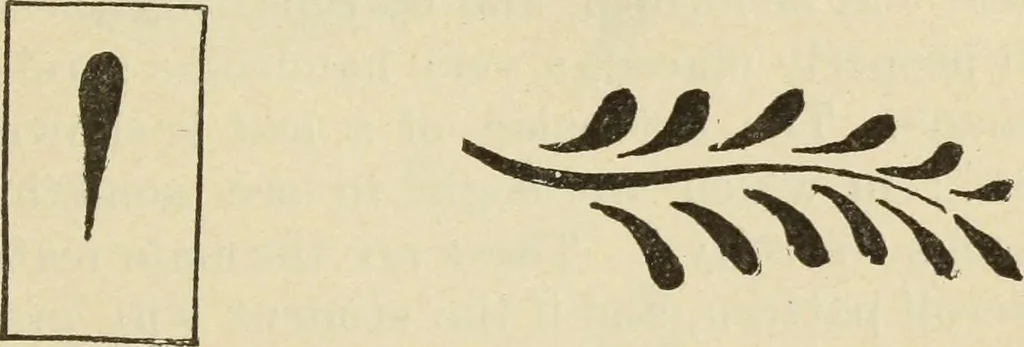 An illustration from The painters' encyclopædia. Containing definitions of all important words in the art of plain and artistic painting, with details of practice in coach, carriage, railway car, house, sign and ornamental painting, including graining, marbling ... and valuable hints and helps in scene painting, porcelain painting, plain painting, distemper painting, and all work in which a brush, pencil or palette is used, 1887, leaf 344