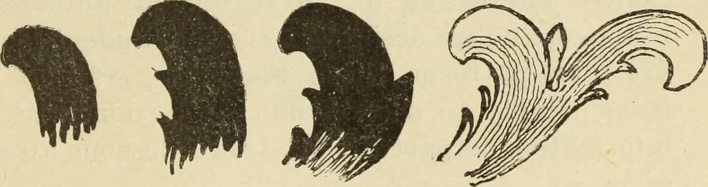 An illustration from The painters' encyclopædia. Containing definitions of all important words in the art of plain and artistic painting, with details of practice in coach, carriage, railway car, house, sign and ornamental painting, including graining, marbling ... and valuable hints and helps in scene painting, porcelain painting, plain painting, distemper painting, and all work in which a brush, pencil or palette is used, 1887, leaf 344