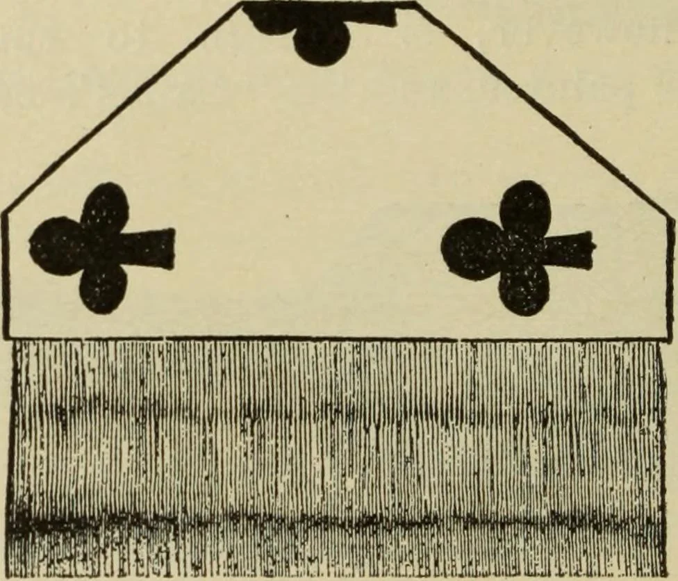 An illustration from The painters' encyclopædia. Containing definitions of all important words in the art of plain and artistic painting, with details of practice in coach, carriage, railway car, house, sign and ornamental painting, including graining, marbling ... and valuable hints and helps in scene painting, porcelain painting, plain painting, distemper painting, and all work in which a brush, pencil or palette is used, 1887, leaf 75