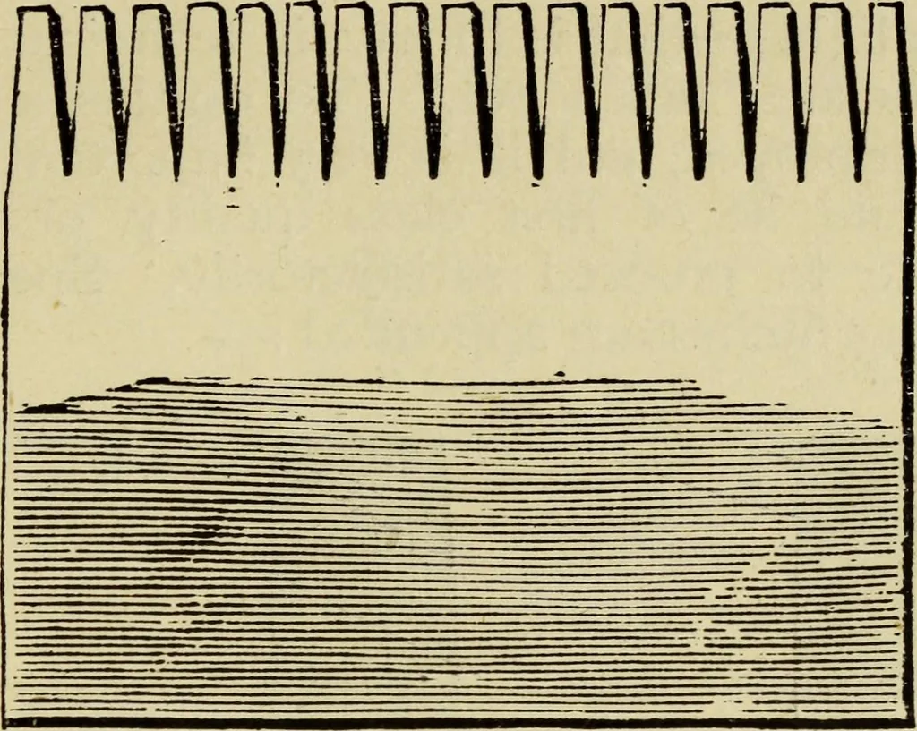 An illustration from The Painters' & grainers' handbook : a complete illustrated guide to painting, graining, distempering, sign-writing, gilding, and glass embossing ..., 1873, leaf 64