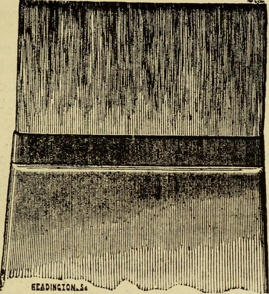 An illustration from The Painters' & grainers' handbook : a complete illustrated guide to painting, graining, distempering, sign-writing, gilding, and glass embossing ..., 1873, leaf 86