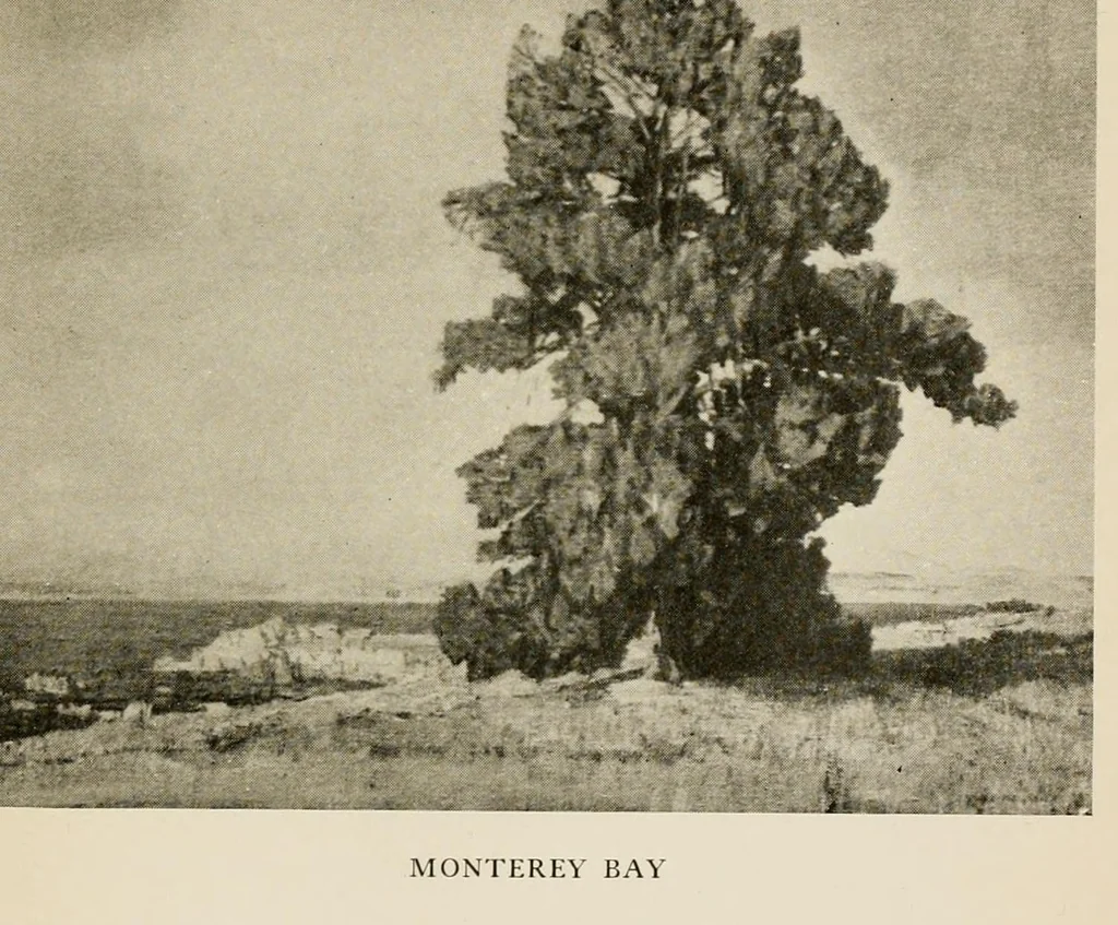 An illustration from Painters, pictures and the people, 1918, leaf 206