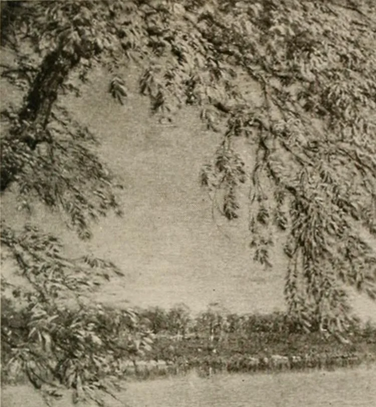 An illustration from Painters, pictures and the people, 1918, leaf 62