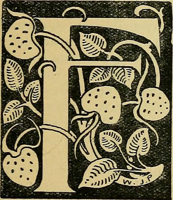 An illustration from Painting and decorating, 1913, leaf 112