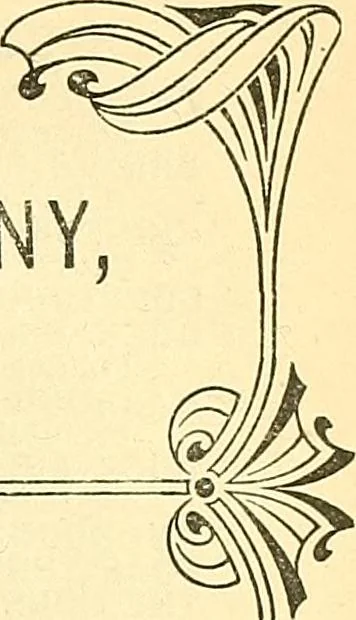 An illustration from Painting and decorating, 1913, leaf 424
