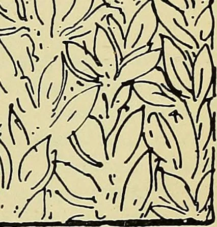 An illustration from Painting and decorating, 1913, leaf 84