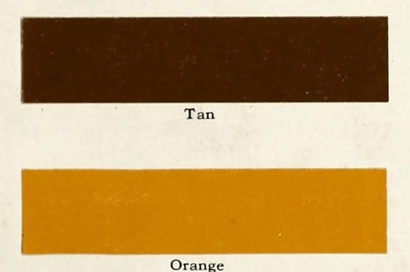 An illustration from Painting : decoration, protection., 1910, leaf 51