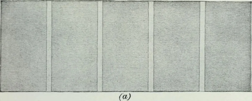 An illustration from Painting and interior decoration, 1922, leaf 48