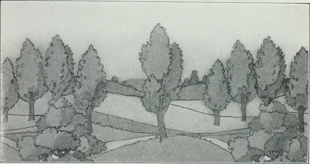 An illustration from Painting and interior decoration, 1922, leaf 80