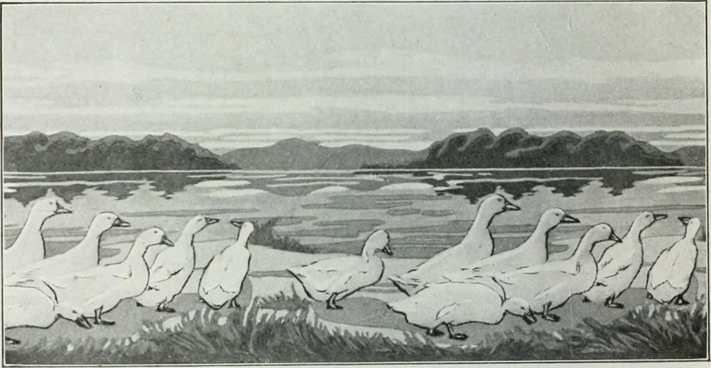 An illustration from Painting and interior decoration, 1922, leaf 81