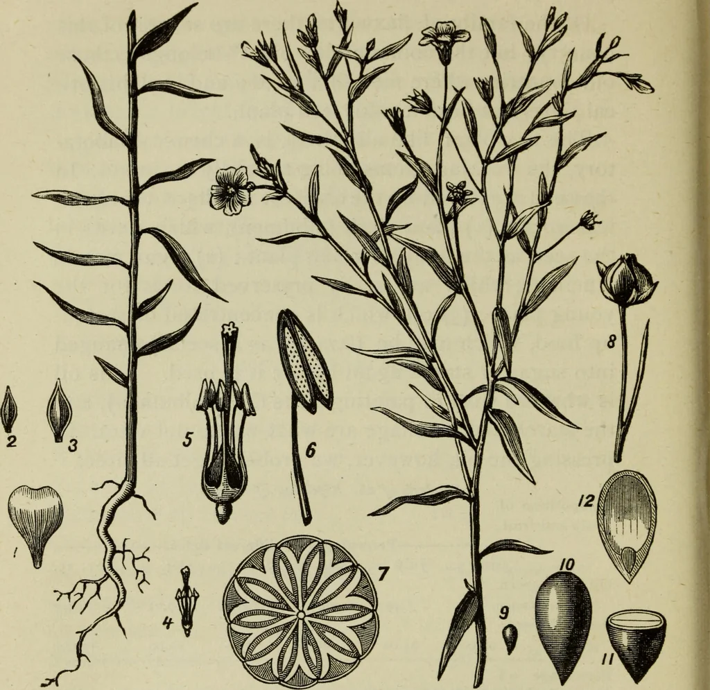 An illustration from Painting and painters' materials: a book of facts for painters and those who use or deal in paint materials, 1883, leaf 101