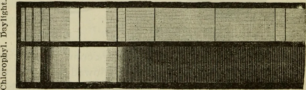 An illustration from Painting and painters' materials: a book of facts for painters and those who use or deal in paint materials, 1883, leaf 261