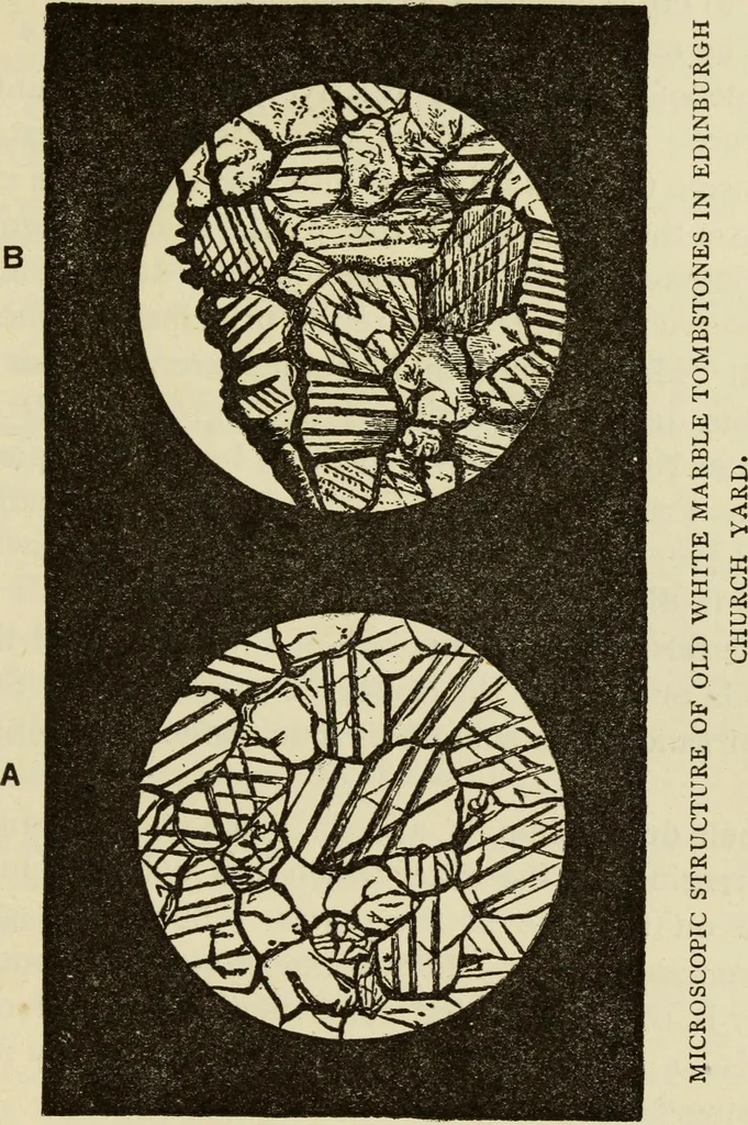 An illustration from Painting and painters' materials: a book of facts for painters and those who use or deal in paint materials, 1883, leaf 482