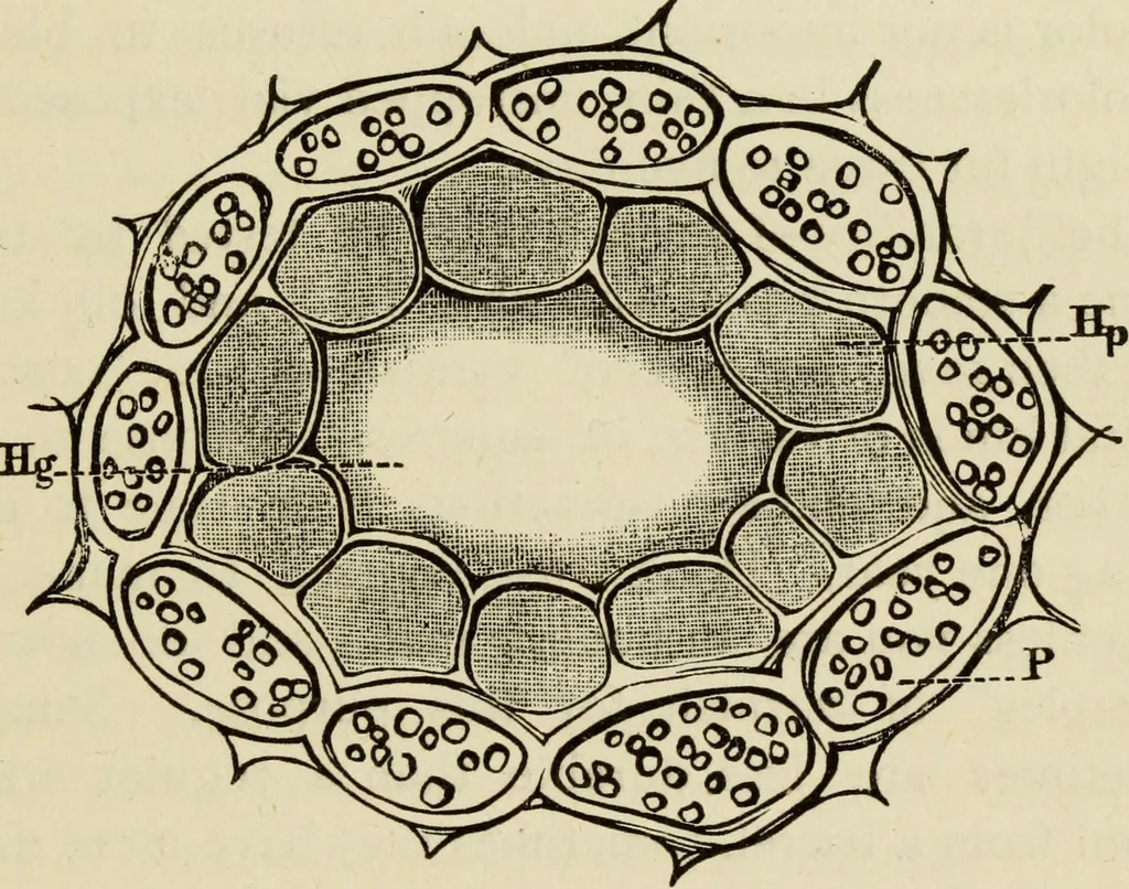 An illustration from Painting and painters' materials: a book of facts for painters and those who use or deal in paint materials, 1883, leaf 50