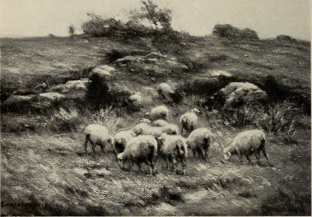 An illustration from Paintings by American artists : colonial portraits, 1914, leaf 107
