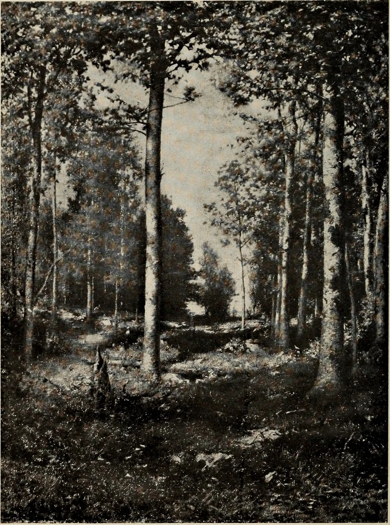 An illustration from Paintings by American artists : colonial portraits, 1914, leaf 111