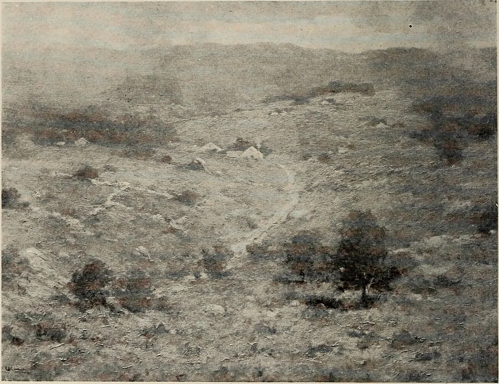 An illustration from Paintings by American artists : colonial portraits, 1914, leaf 29