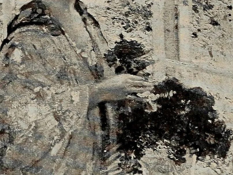 An illustration from Paintings by American artists : colonial portraits, 1914, leaf 73