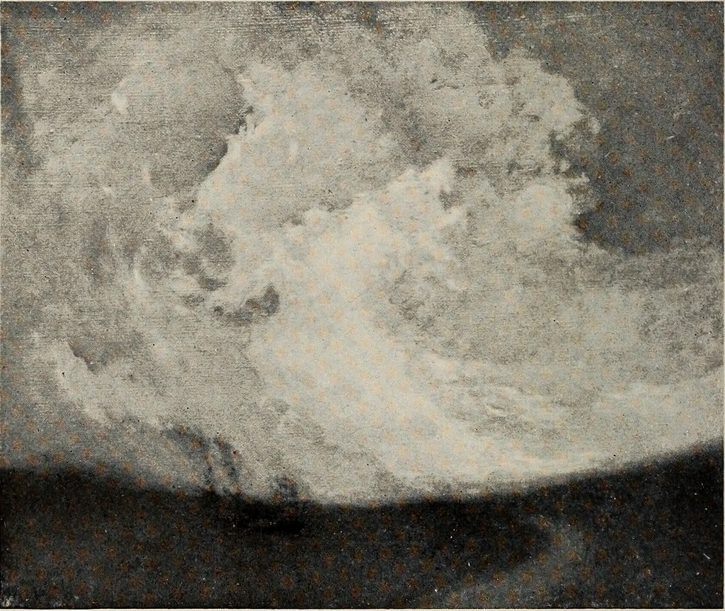 An illustration from Paintings by American artists : colonial portraits, 1914, leaf 77