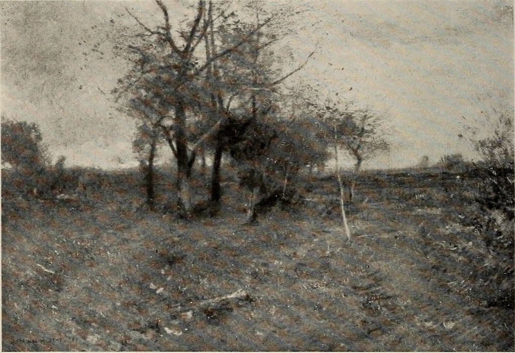 An illustration from Paintings by American artists : colonial portraits, 1914, leaf 79