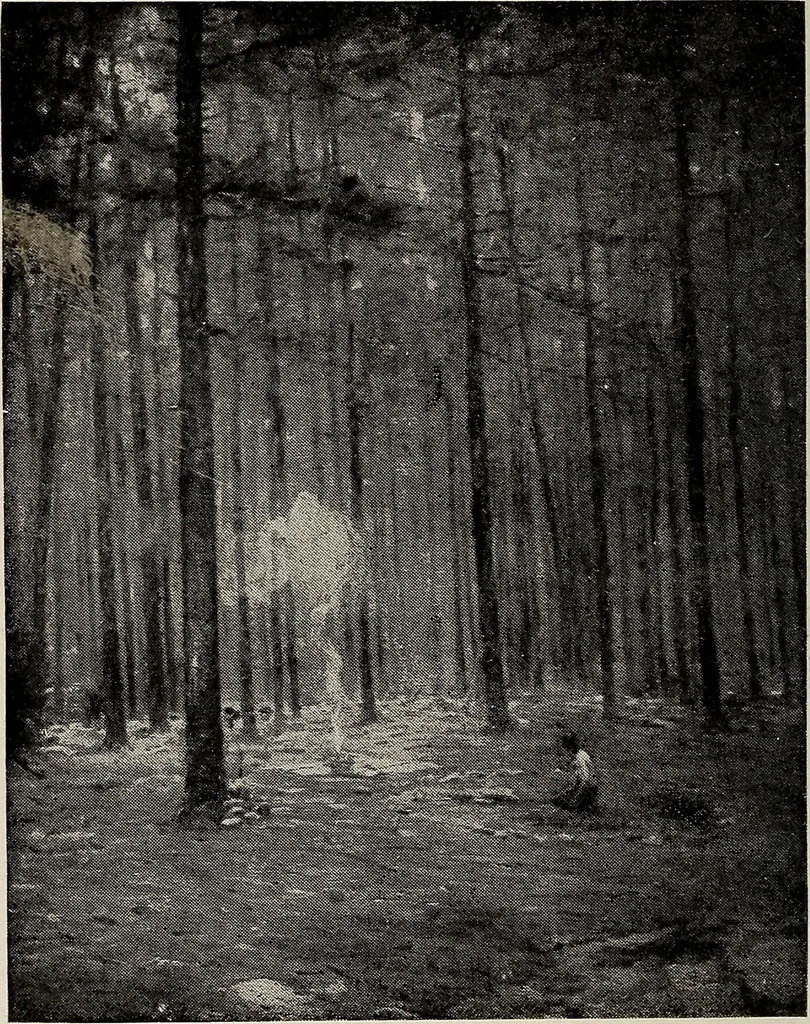 An illustration from Paintings by American artists : colonial portraits, 1914, leaf 91