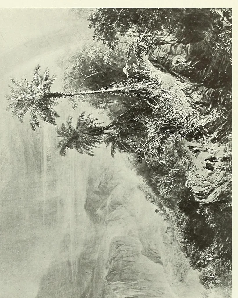 An illustration from Paintings by Frederic E. Church, N.A. Special exhibition at the Metropolitan museum of art, May 28th to Oct. 15th, 1900, leaf 75