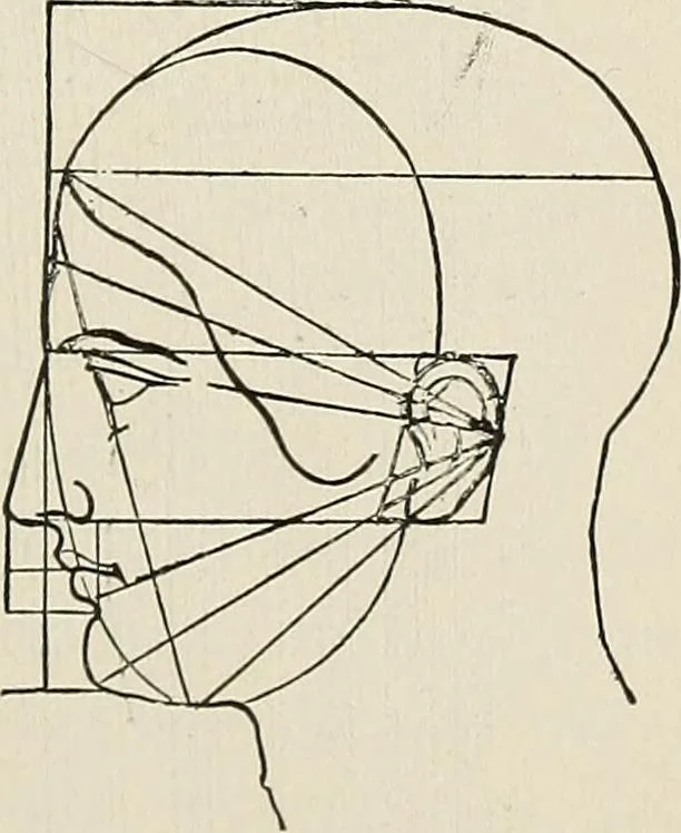 An illustration from Painting, sculpture and architecture as representative arts; an essay in comparative æsthetics, 1895, leaf 140