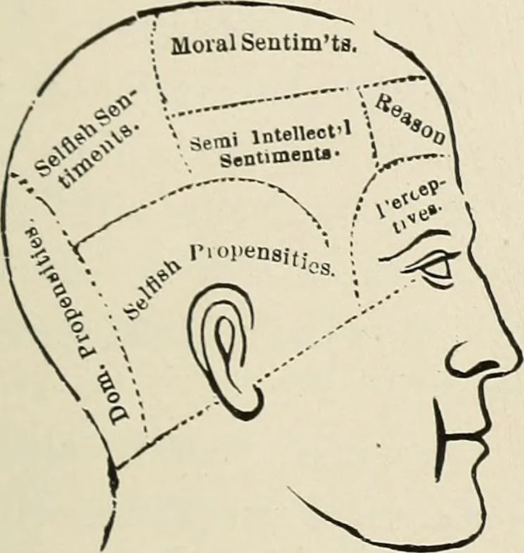 An illustration from Painting, sculpture and architecture as representative arts; an essay in comparative æsthetics, 1895, leaf 158