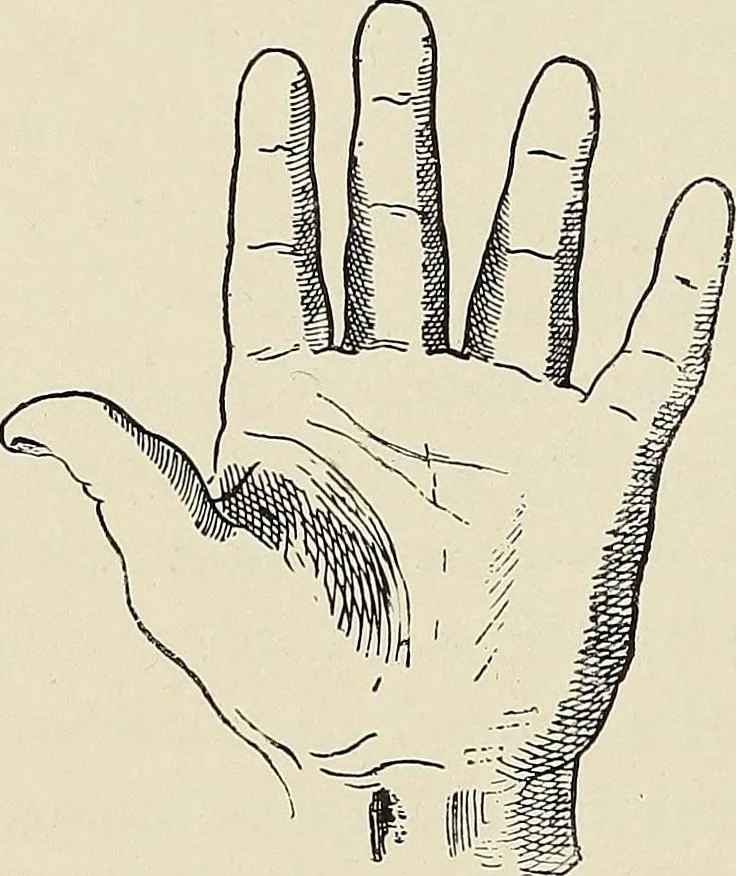An illustration from Painting, sculpture and architecture as representative arts; an essay in comparative æsthetics, 1895, leaf 163