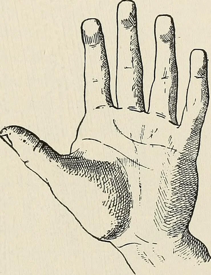 An illustration from Painting, sculpture and architecture as representative arts; an essay in comparative æsthetics, 1895, leaf 164