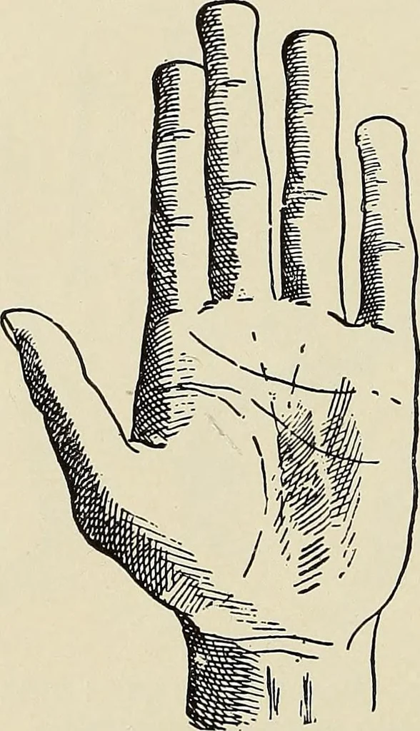 An illustration from Painting, sculpture and architecture as representative arts; an essay in comparative æsthetics, 1895, leaf 165