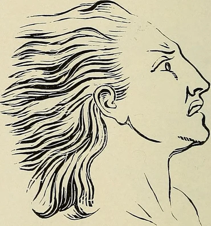 An illustration from Painting, sculpture and architecture as representative arts; an essay in comparative æsthetics, 1895, leaf 219