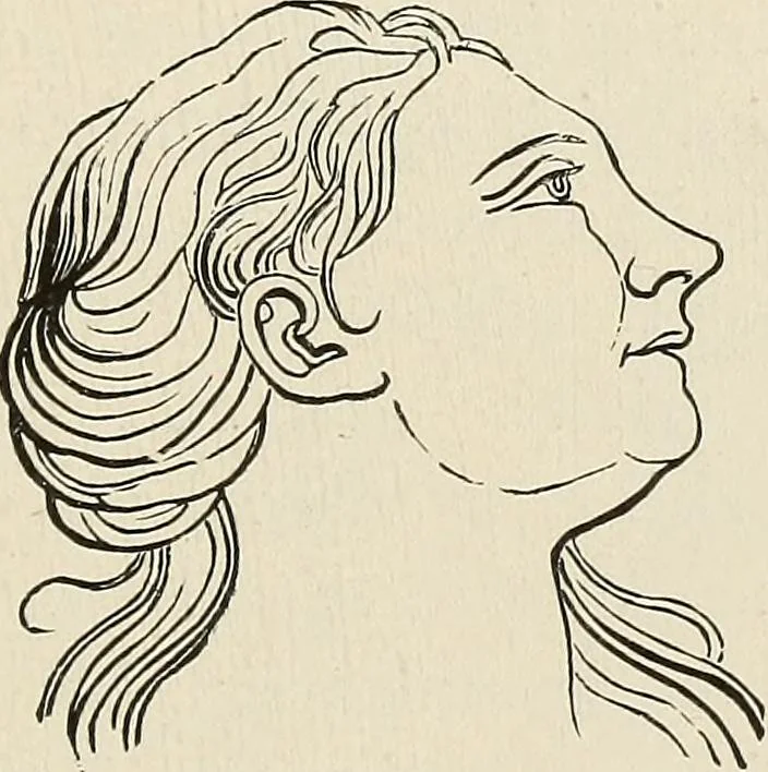 An illustration from Painting, sculpture and architecture as representative arts; an essay in comparative æsthetics, 1895, leaf 222