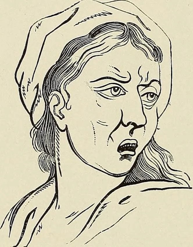 An illustration from Painting, sculpture and architecture as representative arts; an essay in comparative æsthetics, 1895, leaf 231