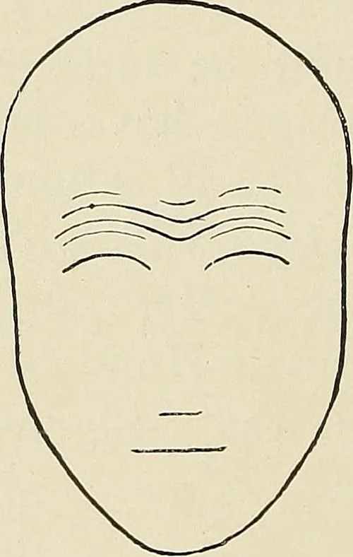 An illustration from Painting, sculpture and architecture as representative arts; an essay in comparative æsthetics, 1895, leaf 233