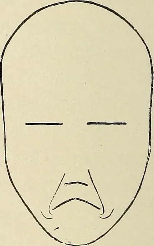 An illustration from Painting, sculpture and architecture as representative arts; an essay in comparative æsthetics, 1895, leaf 233
