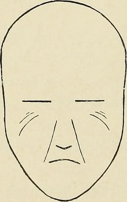 An illustration from Painting, sculpture and architecture as representative arts; an essay in comparative æsthetics, 1895, leaf 233