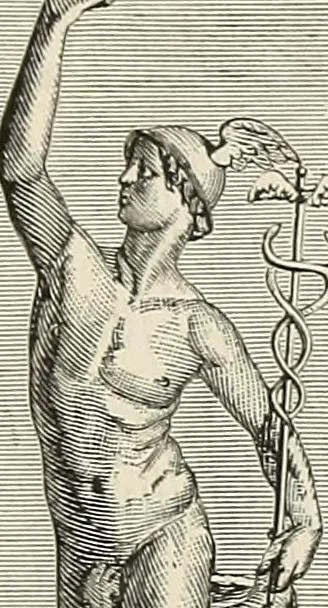 An illustration from Painting, sculpture and architecture as representative arts; an essay in comparative æsthetics, 1895, leaf 64