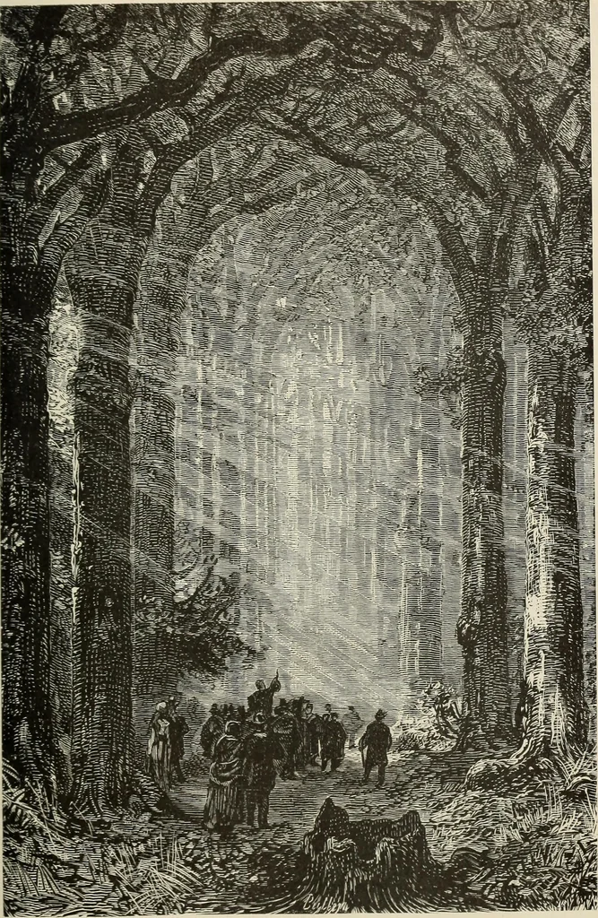 An illustration from Painting, sculpture and architecture as representative arts; an essay in comparative æsthetics, 1895, leaf 76