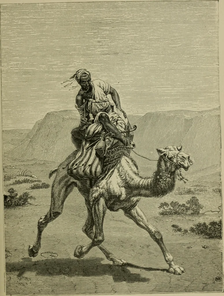 An illustration from Painting, Spanish and French, 1890, leaf 254