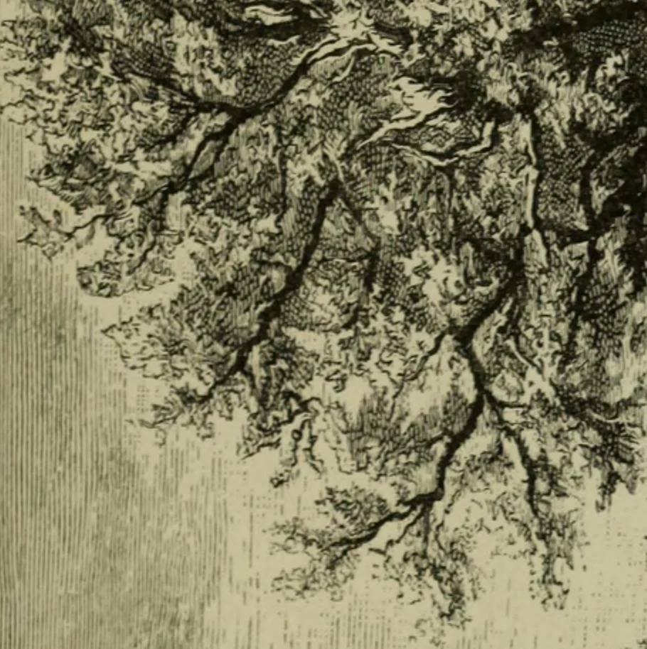 An illustration from Painting, Spanish and French, 1890, leaf 266