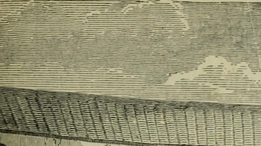 An illustration from Painting, Spanish and French, 1890, leaf 94