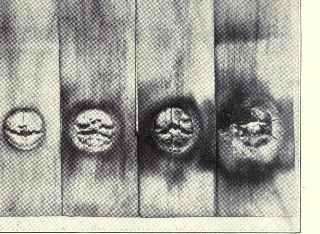 An illustration from Paint researches and their practical application, 1917, leaf 211
