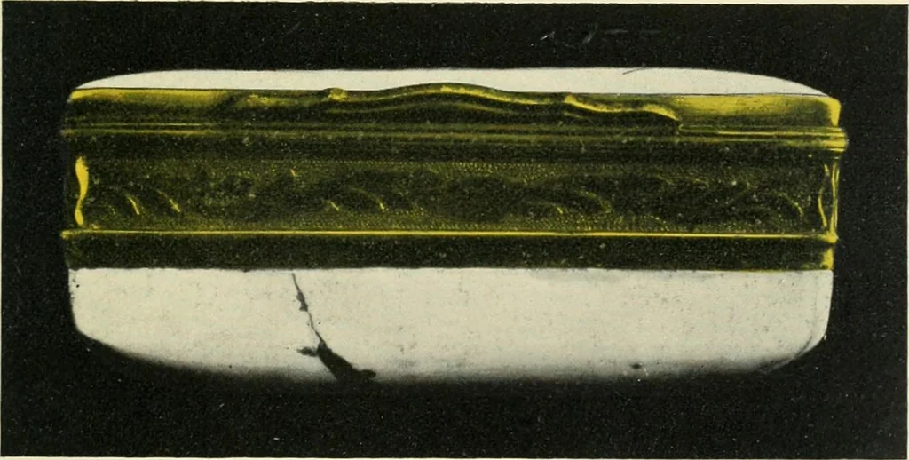 An illustration from Paketovyia tabakerki Imperatorskago farforovago zavoda, 1913, leaf 154