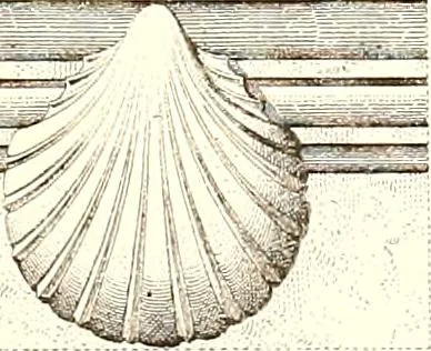 An illustration from Palaces, castles and residences in France: Built from the 15th to the 18th century, 1860, leaf 42