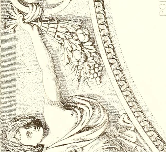 An illustration from Palaces, castles and residences in France: Built from the 15th to the 18th century, 1860, leaf 90